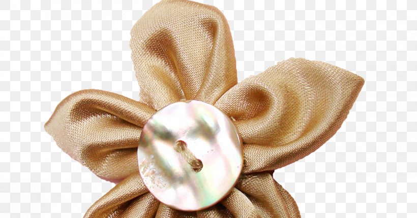 Clothing Accessories Body Jewellery Hair Tie Fashion, PNG, 1200x630px, Clothing Accessories, Body Jewellery, Body Jewelry, Ear, Fashion Download Free