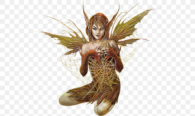 Fairy Elf TinyPic Mythology, PNG, 542x488px, Fairy, Angel, Blog, Elf, Fictional Character Download Free