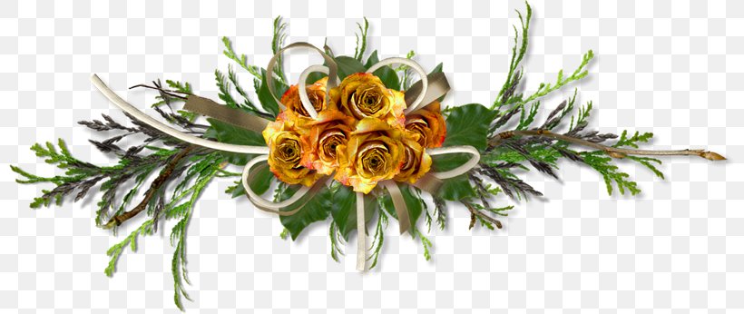 Floral Design Cut Flowers Petal, PNG, 800x346px, Floral Design, Cut Flowers, Flora, Floristry, Flower Download Free