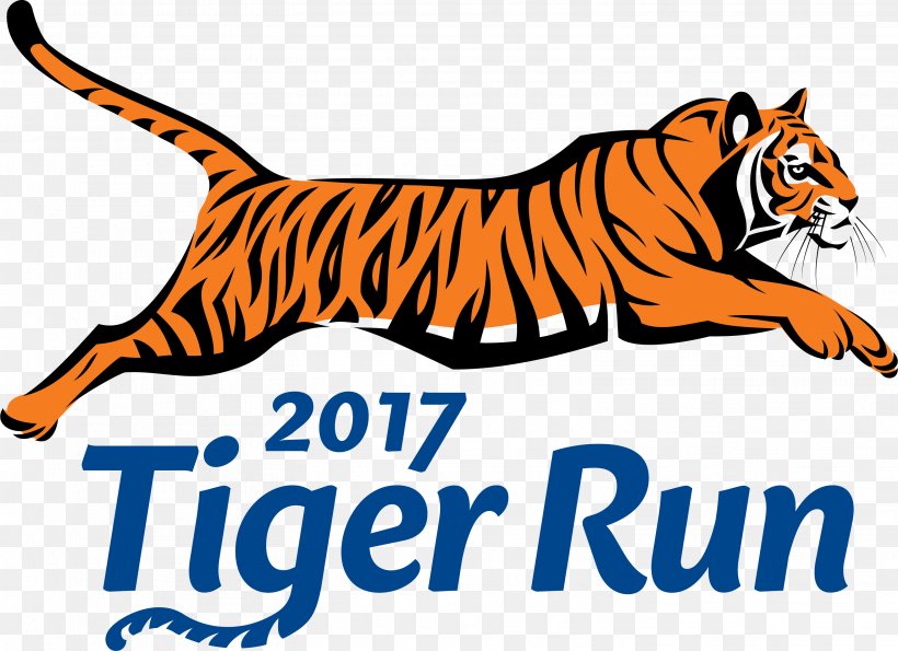 Newport Mill Middle School Buck Lodge Middle School Tiger Run 2017, PNG, 3118x2264px, Newport Mill Middle School, Animal Figure, Area, Artwork, Big Cats Download Free