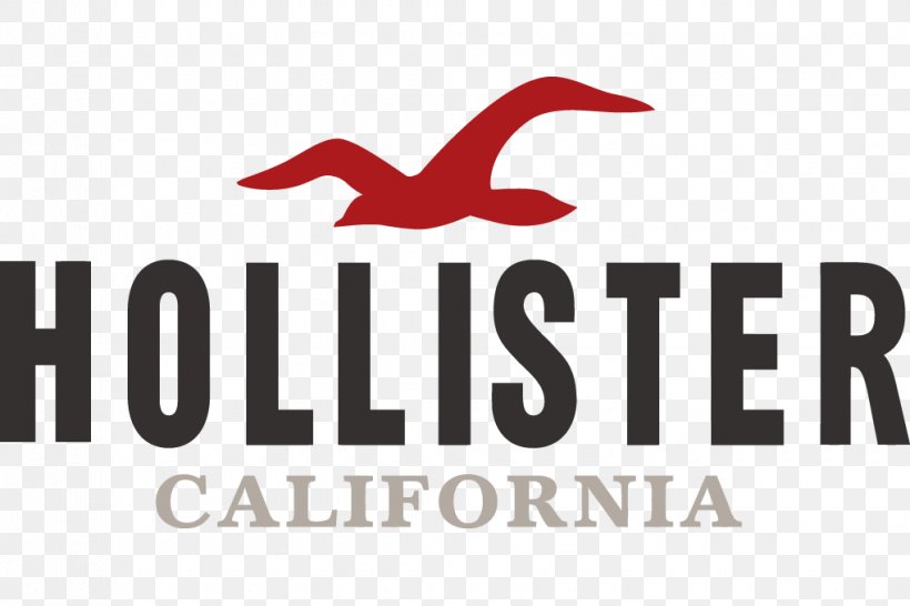 Hollister Co. Hoodie Clothing Casual, PNG, 1020x680px, Hollister, Brand, Calvin Klein, Casual, Clothing Download Free