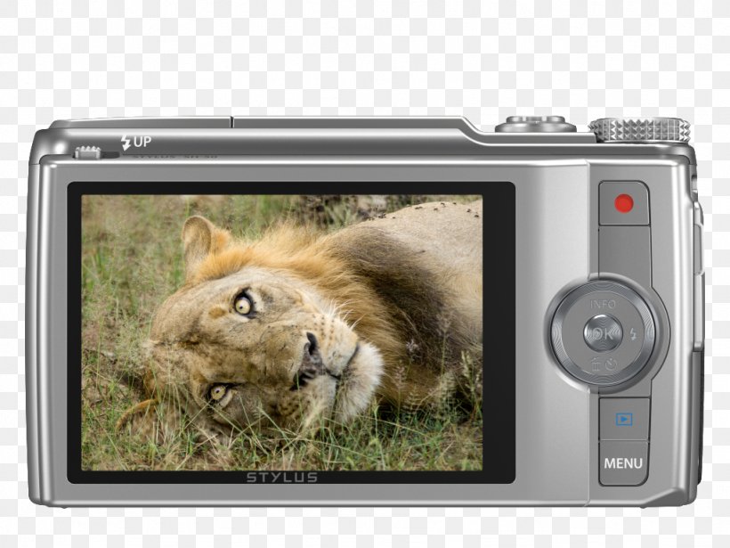Point-and-shoot Camera Olympus 16 Mp Photography, PNG, 1024x768px, 16 Mp, Camera, Big Cats, Cameras Optics, Cat Like Mammal Download Free