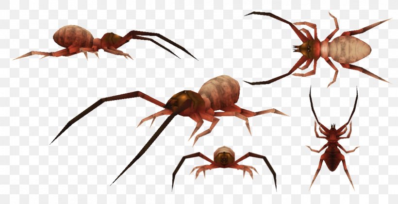 Spider Carnivores 2 Scorpion Meganeura Pulmonoscorpius Kirktonensis, PNG, 1141x585px, Spider, Arachnid, Arthropod, Carboniferous, Carnivores Download Free