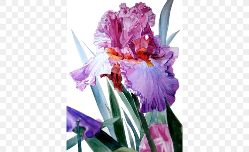 Irises Watercolor Painting Artist, PNG, 500x500px, Watercolor, Cartoon, Flower, Frame, Heart Download Free