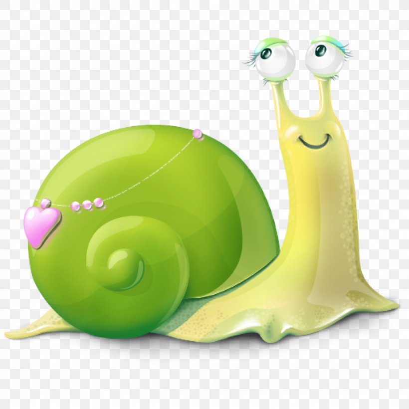 Sea Snail Seashell Slug Clip Art, PNG, 1024x1024px, Snail, Cornu Aspersum, Emerald Green Snail, Gastropod Shell, Grass Download Free