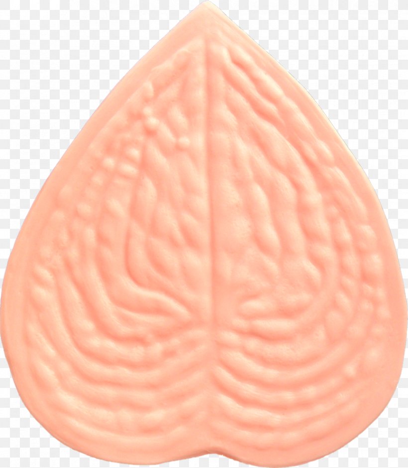 Silicone Commodity Molding Laceleaf Peach, PNG, 864x992px, Silicone, Commodity, Laceleaf, Molding, Peach Download Free