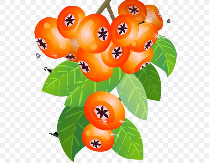 Orange Food Persimmon Fruit Vegetable, PNG, 571x639px, Orange, Berry, Food, Fruit, Ladybird Download Free