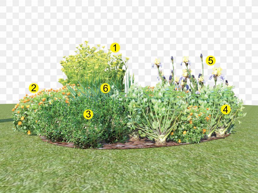 Bedding Garden Jardin D'agrément Plus JEDEN DEŇ Plant, PNG, 8533x6400px, Bedding, Auglis, Evergreen, Fruit, Garden Download Free