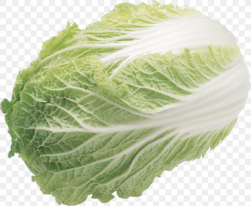 Chinese Cabbage Napa Cabbage Vegetable Lettuce Choy Sum, PNG, 850x700px, Chinese Cabbage, Bok Choy, Cabbage, Choy Sum, Collard Greens Download Free