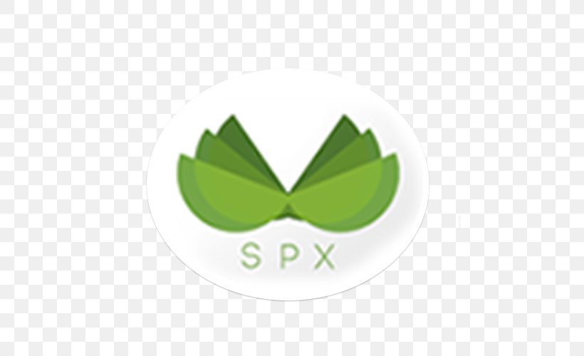 Logo Financial Plan Leaf Organization Investment, PNG, 500x500px, Logo, Finance, Financial Plan, Green, Highnetworth Individual Download Free