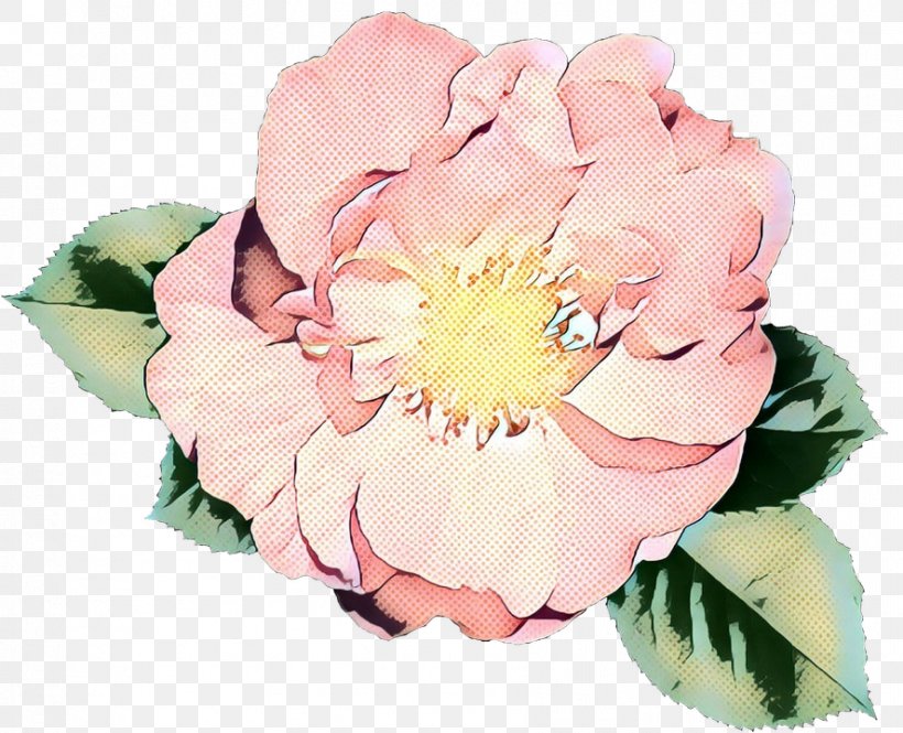 Pop Art Retro Vintage, PNG, 887x720px, Pop Art, Begonia, Cabbage Rose, Chinese Peony, Common Peony Download Free