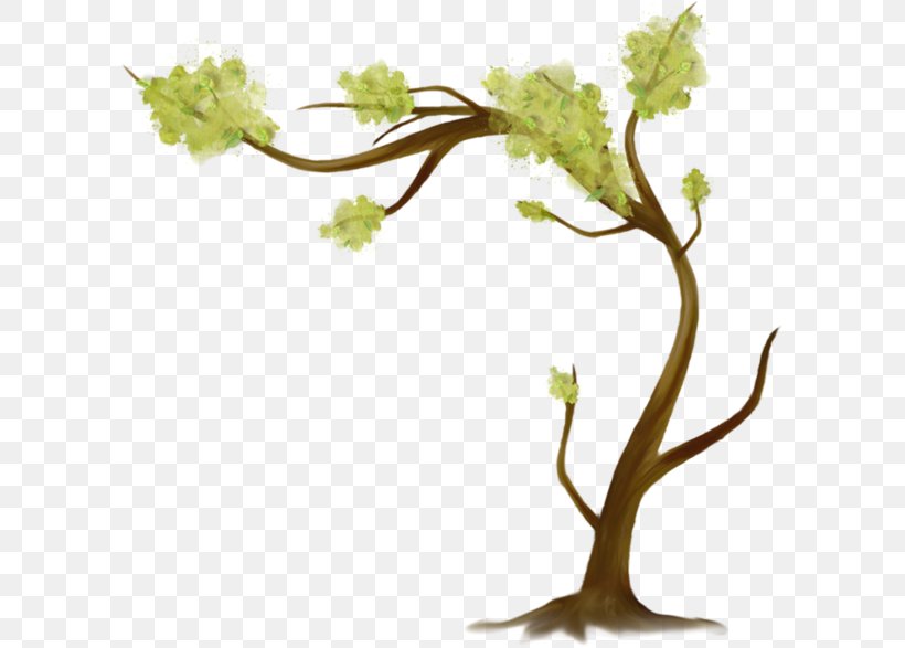Tree Leaf Branch Clip Art, PNG, 600x587px, Tree, Branch, Deciduous, Digital Image, Flower Download Free