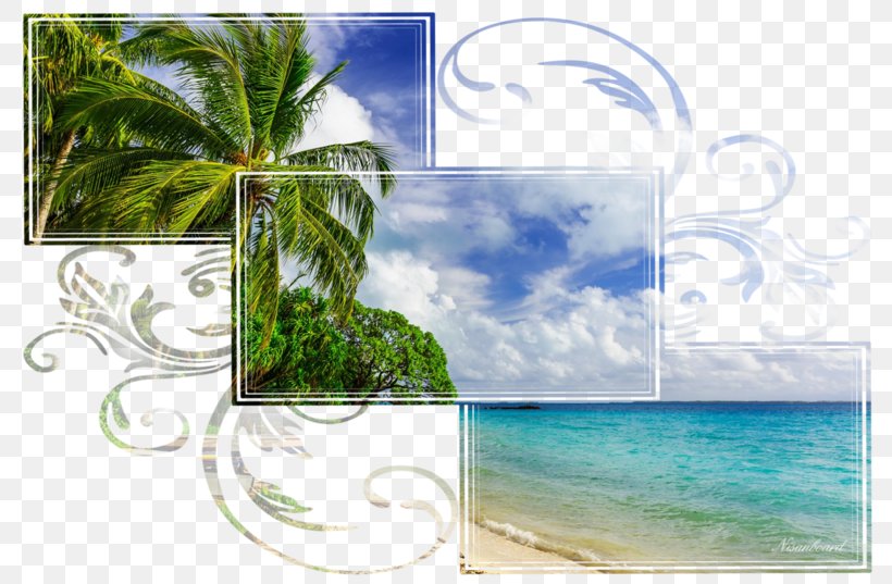 Background Frame Summer Frame, PNG, 800x537px, Tarawa, Aqua, Arecales, Atoll, Caribbean Download Free