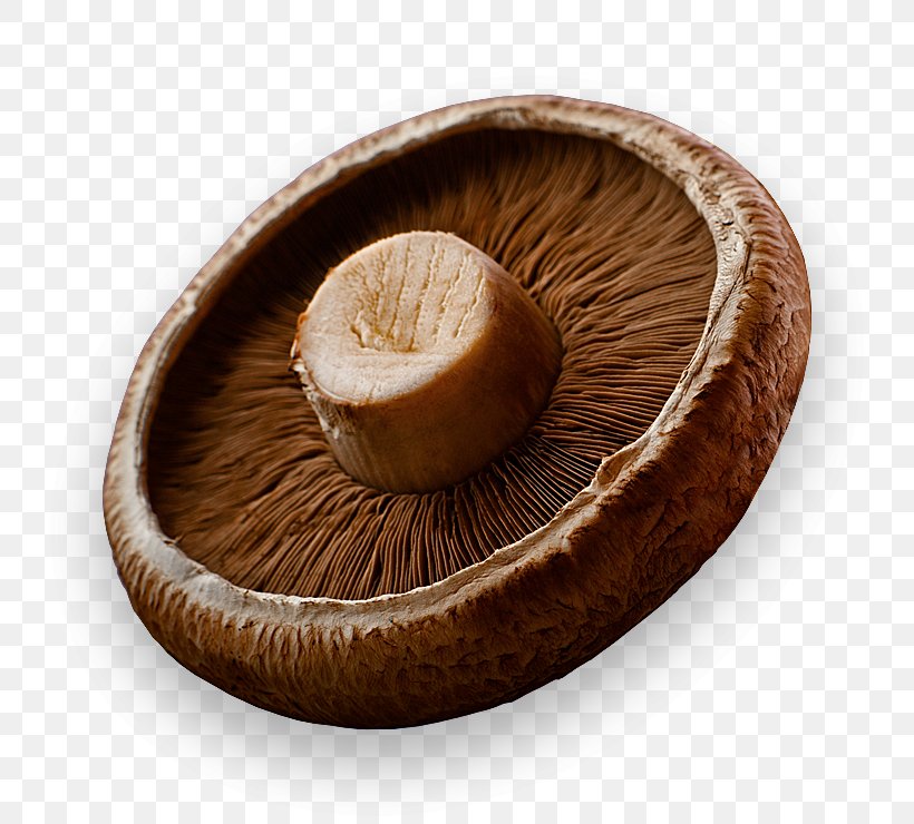 Common Mushroom B Vitamins Biotin Dietary Supplement, PNG, 740x740px, Common Mushroom, Agaricaceae, Agaricomycetes, Agaricus, B Vitamins Download Free