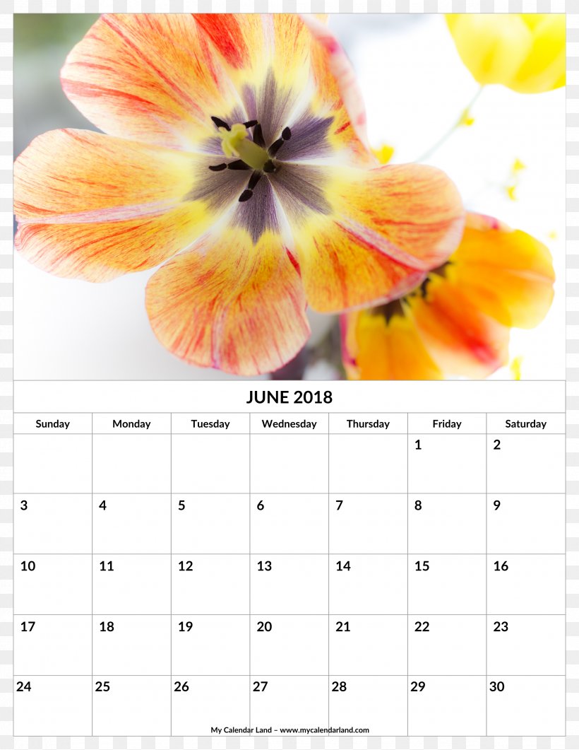 Happy Birthday To You Wish Greeting & Note Cards Gift, PNG, 2550x3300px, Birthday, Birth Flower, Calendar, Flower, Flowering Plant Download Free