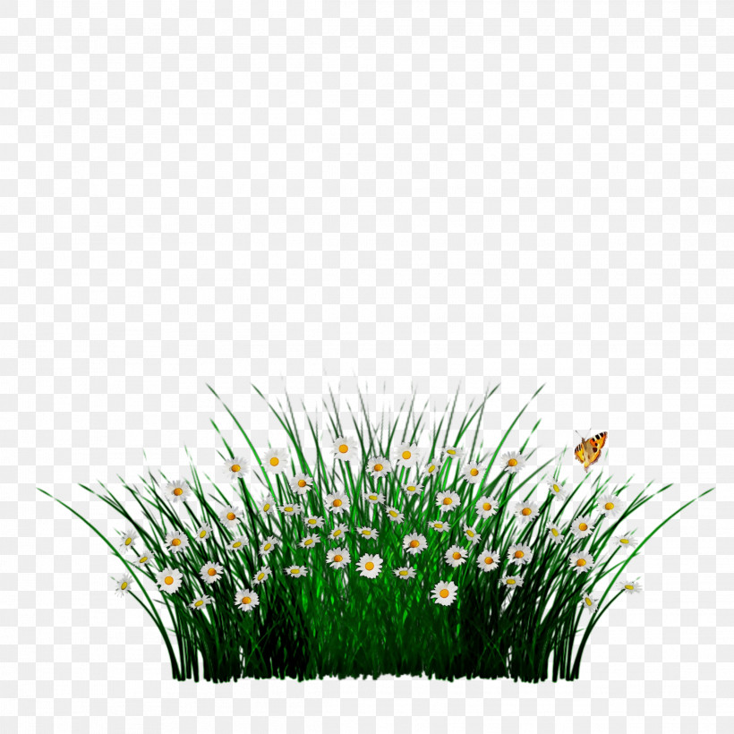 Grass Green Plant Grass Family Flower, PNG, 2289x2289px, Watercolor, Chives, Flower, Grass, Grass Family Download Free