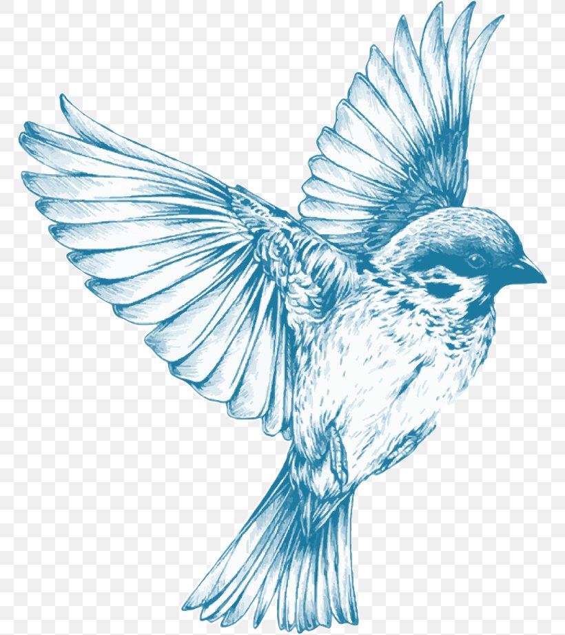Sparrow Bird Swallow Drawing Sketch, PNG, 768x922px, Sparrow, Art, Art Museum, Beak, Bird Download Free