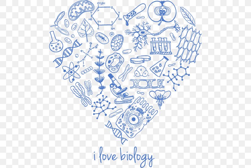 Biology Drawing Sketch, PNG, 499x550px, Watercolor, Cartoon, Flower, Frame, Heart Download Free
