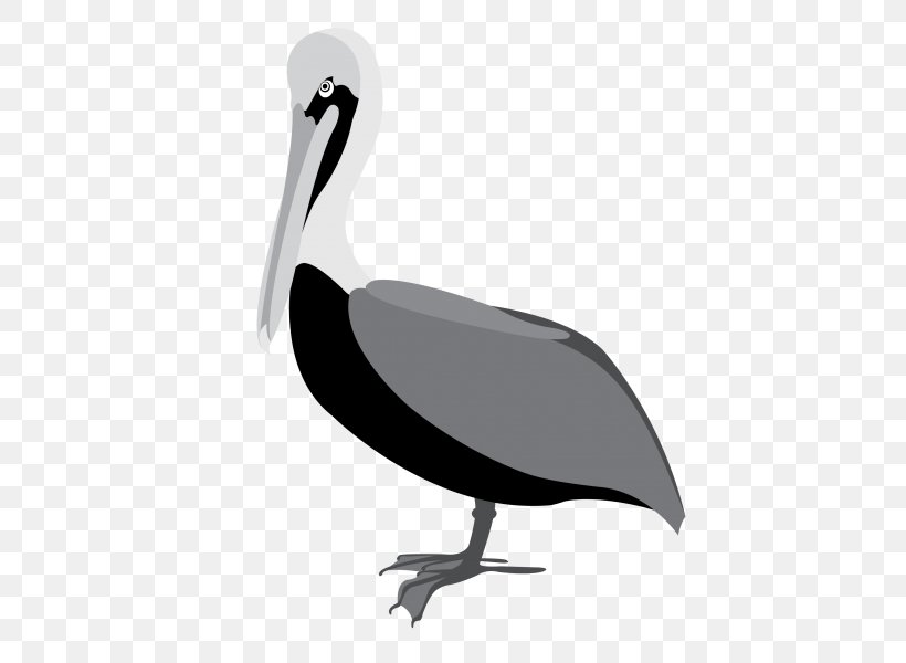 Bird Brown Pelican Beak Clip Art American White Pelican, PNG, 530x600px, Bird, American White Pelican, Beak, Black And White, Brown Pelican Download Free