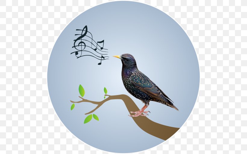 Musical Note Wall Decal Beak Poster, PNG, 512x512px, Watercolor, Cartoon, Flower, Frame, Heart Download Free