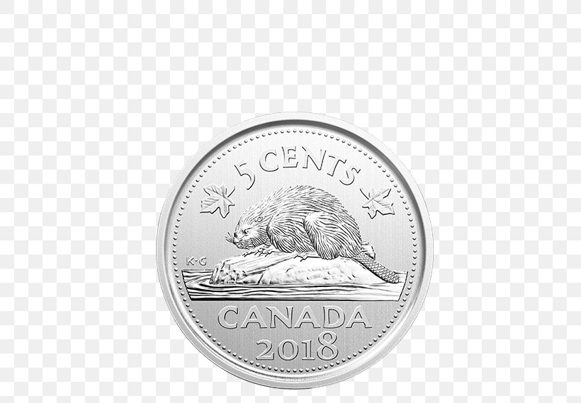 Quarter Silver Loonie Canada Coin, PNG, 570x570px, Quarter, Artist, Beauty, Burrow, Burrowing Owl Download Free