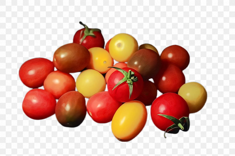 Tomato, PNG, 2448x1632px, Watercolor, Acerola Family, Bush Tomato, Camu Camu, Cherry Download Free