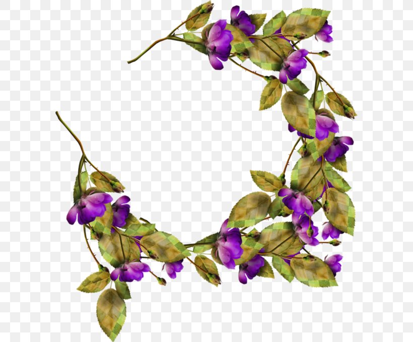 Violet Family Hair Clothing Accessories, PNG, 600x679px, Violet, Branch, Clothing Accessories, Family, Flower Download Free