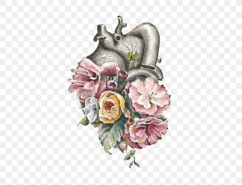Watercolour Flowers Heart Anatomy Watercolor Painting, PNG, 500x625px, Watercolour Flowers, Anatomy, Art, Cardiac Muscle, Coronary Arteries Download Free