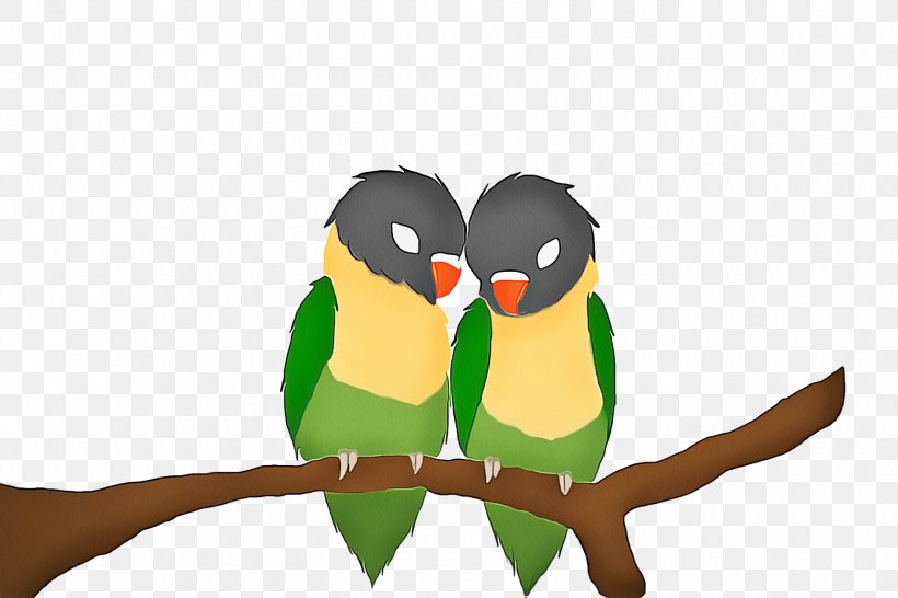 Bird Green Beak Parrot Cartoon, PNG, 1800x1200px, Bird, Beak, Branch, Cartoon, Green Download Free