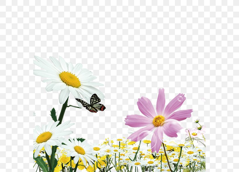Butterfly Natural Environment Euclidean Vector Computer File, PNG, 591x591px, Butterfly, Bee, Chamaemelum Nobile, Chrysanths, Daisy Download Free