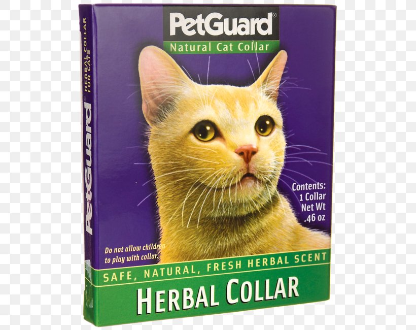 Cat Food Dog Collar Kitten, PNG, 650x650px, Cat Food, Canidae, Carnivoran, Cat, Cat Enclosure Download Free
