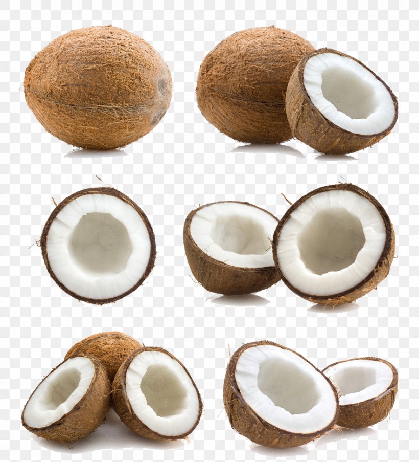 Coconut Milk Arrack Coconut Oil Thai Cuisine, PNG, 883x973px, Coconut Milk, Arrack, Coconut, Coconut Cream, Coconut Oil Download Free