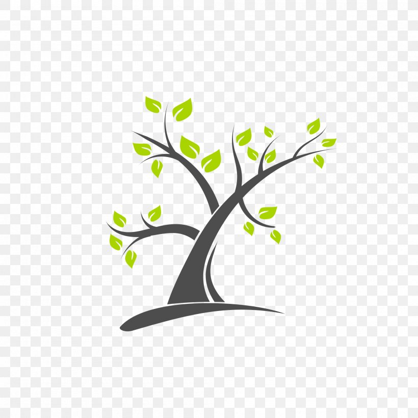 Tree Branch Logo, PNG, 2000x2000px, Tree, Branch, Drawing, Flora, Flower Download Free