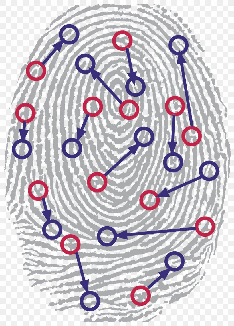 Biometrics Automated Fingerprint Identification Biometric Passport, PNG, 1072x1488px, Biometrics, Area, Biometric Passport, Drawing, Fingerprint Download Free