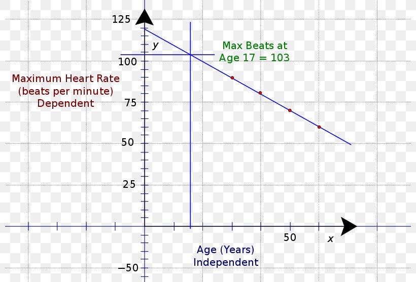 Graph Of A Function Heart Rate Plot Line Chart, PNG, 800x557px, Graph Of A Function, Area, Cartesian Coordinate System, Chart, Diagram Download Free