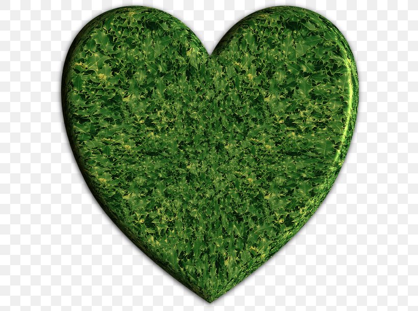 Heart Adatformátum Les Jardins Du Ciel, PNG, 610x610px, Heart, Gift, Grass, Green, Leaf Download Free