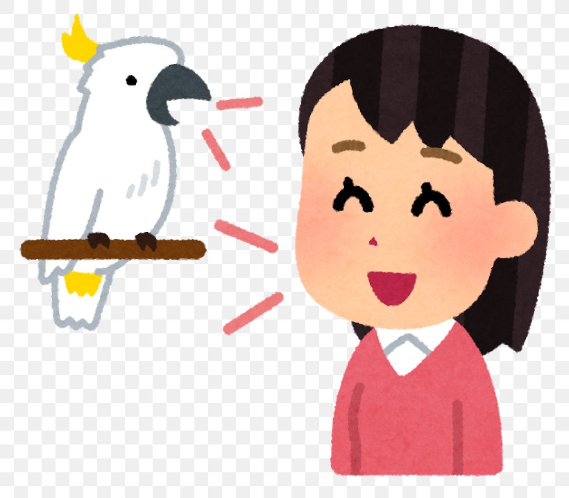 Juju Person Parrots Cockatoo, PNG, 800x717px, Juju, Art, Beak, Bird, Cartoon Download Free