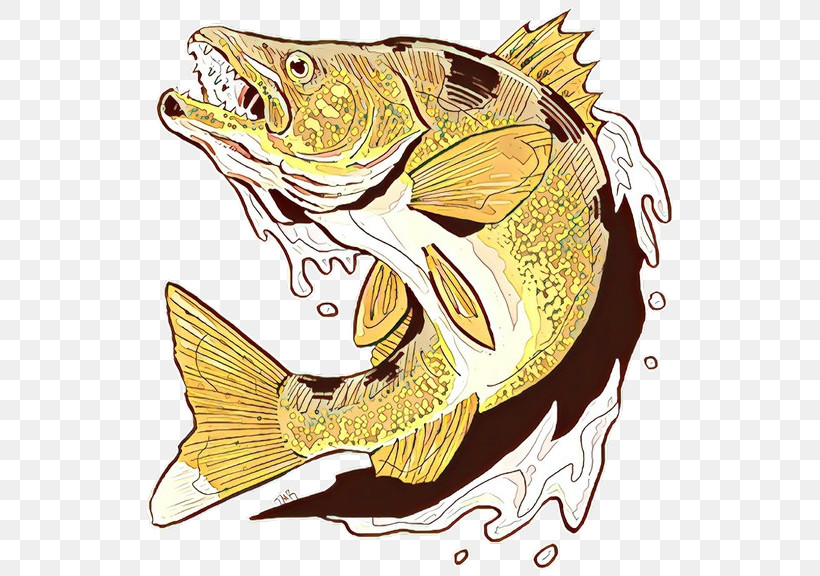 Fish Bass Fish Northern Largemouth Bass Carp, PNG, 576x576px, Fish, Bass, Carp, Northern Largemouth Bass Download Free