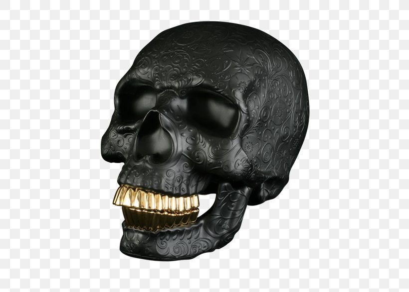 Skull Skeleton Bone Calavera Anterior Fontanelle, PNG, 562x587px, Skull, Art, Bone, Calavera, Child Download Free
