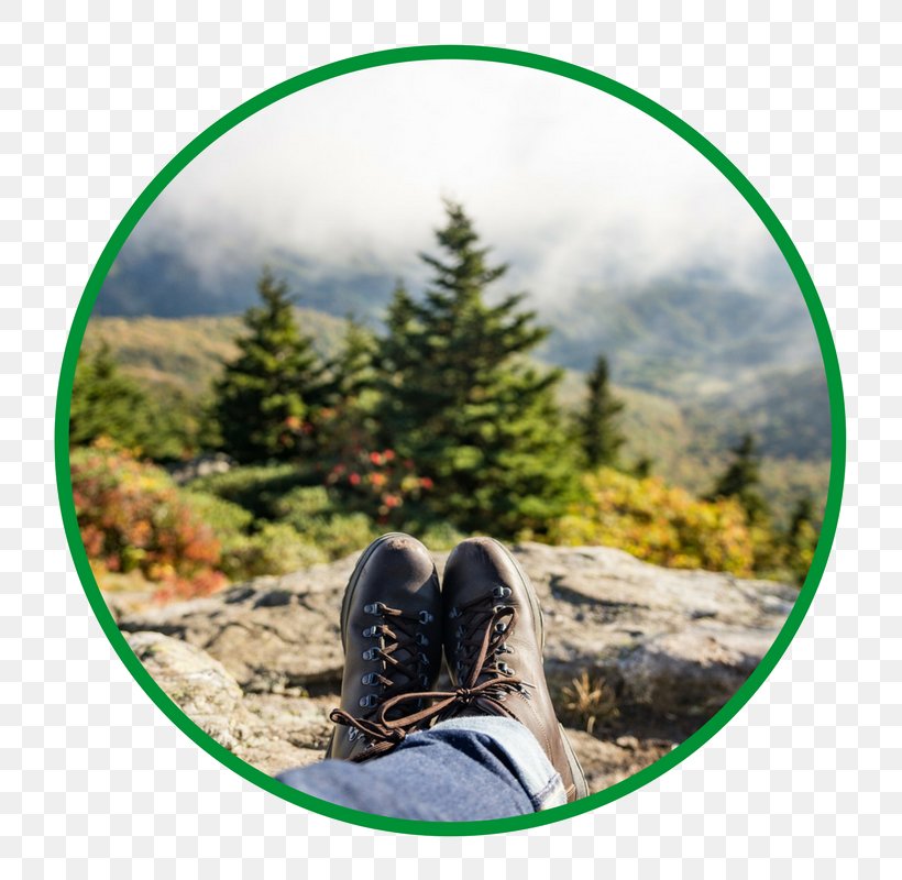 Hiking Boot Shoe Nature Story, PNG, 800x800px, Hiking Boot, Backcountrycom, Backpacking, Boot, Camping Download Free
