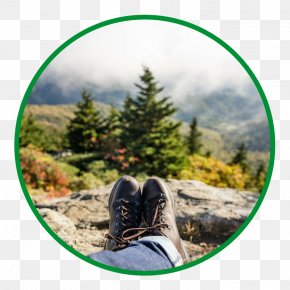 Boot - Hiking Boot Shoe Nature Story PNG