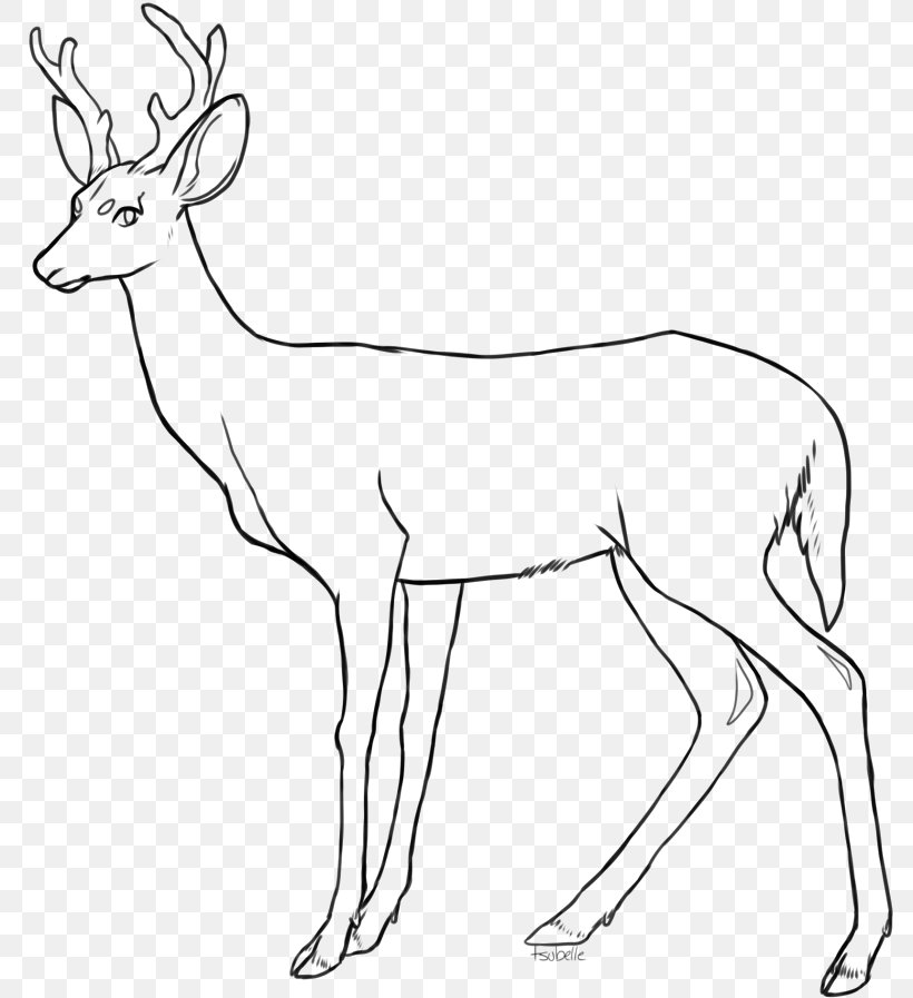 Red Deer Drawing Coloring Book Clip Art, PNG, 800x897px, Deer, Antelope, Antler, Artwork, Black And White Download Free