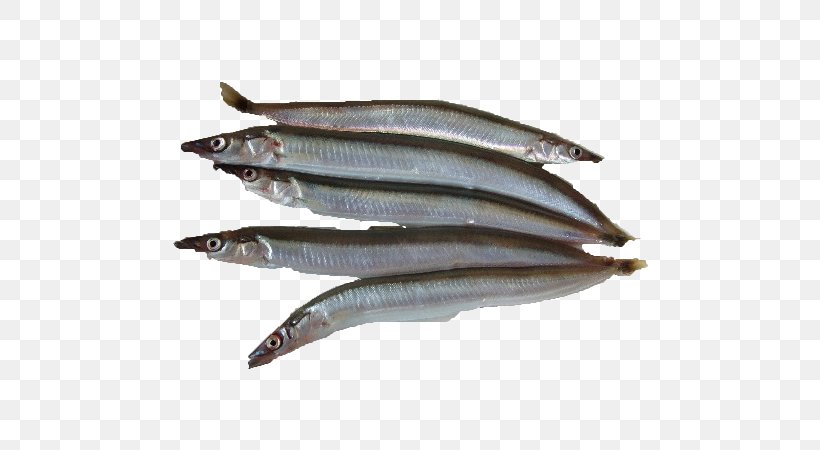 Sardine Pacific Saury Fish Products Anchovies As Food Oily Fish, PNG, 600x450px, Sardine, Anchovies As Food, Anchovy, Anchovy Food, Animal Source Foods Download Free