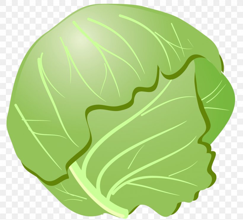 Savoy Cabbage Bento Vegetable, PNG, 2427x2197px, Cabbage, Bento, Bok Choy, Brassica Oleracea, Diagram Download Free