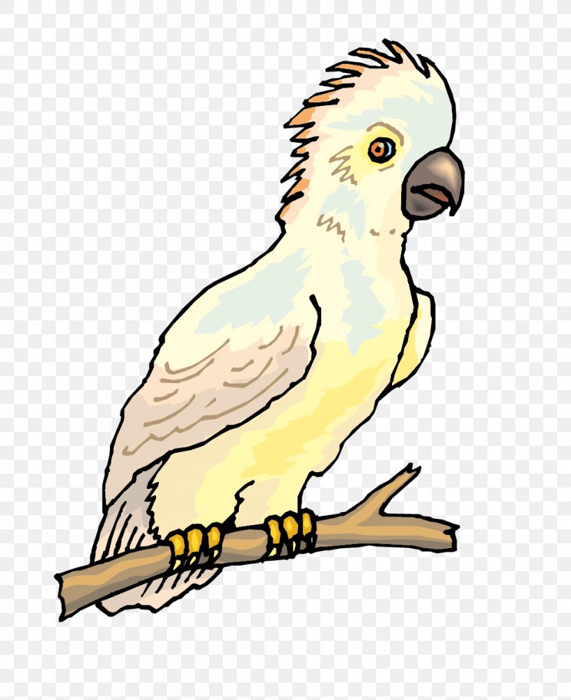 Budgerigar Bird Cockatoo Parakeet Illustration, PNG, 992x1217px, Budgerigar, Art, Beak, Bird, Bird Of Prey Download Free