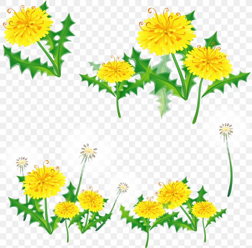 Drawing Of Family, PNG, 2801x2762px, Dandelion, Camomile, Chamaemelum Nobile, Chamomile, Daisy Download Free