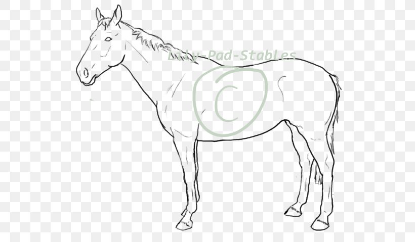 Mule Foal Mustang Colt Rein, PNG, 549x479px, Mule, Animal Figure, Artwork, Black And White, Bridle Download Free