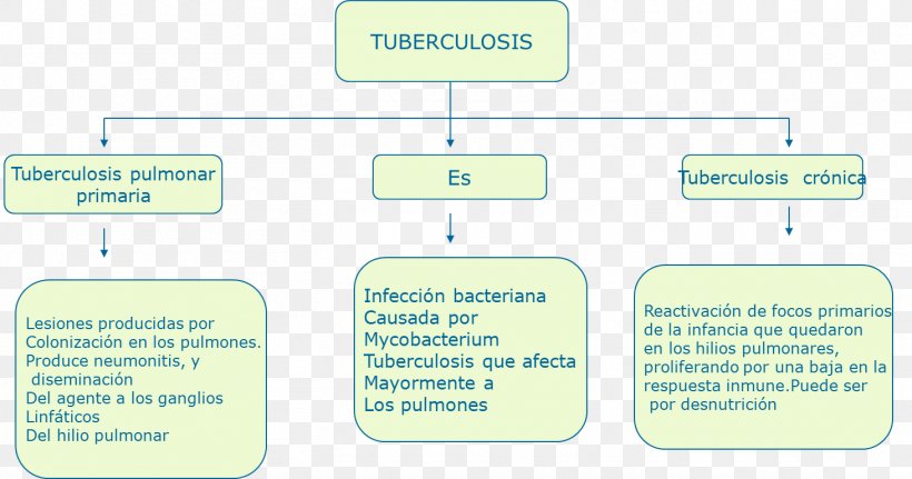 Mycobacterium Tuberculosis Cuadro Sinoptico Malnutrition