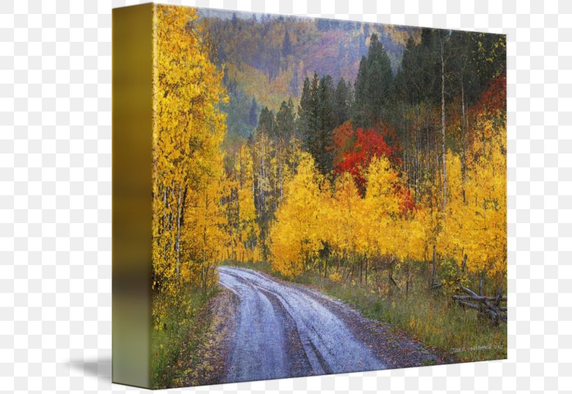 Painting Canvas Print Gallery Wrap Art, PNG, 650x565px, Painting, Art, Autumn, Biome, Broadleaved Tree Download Free