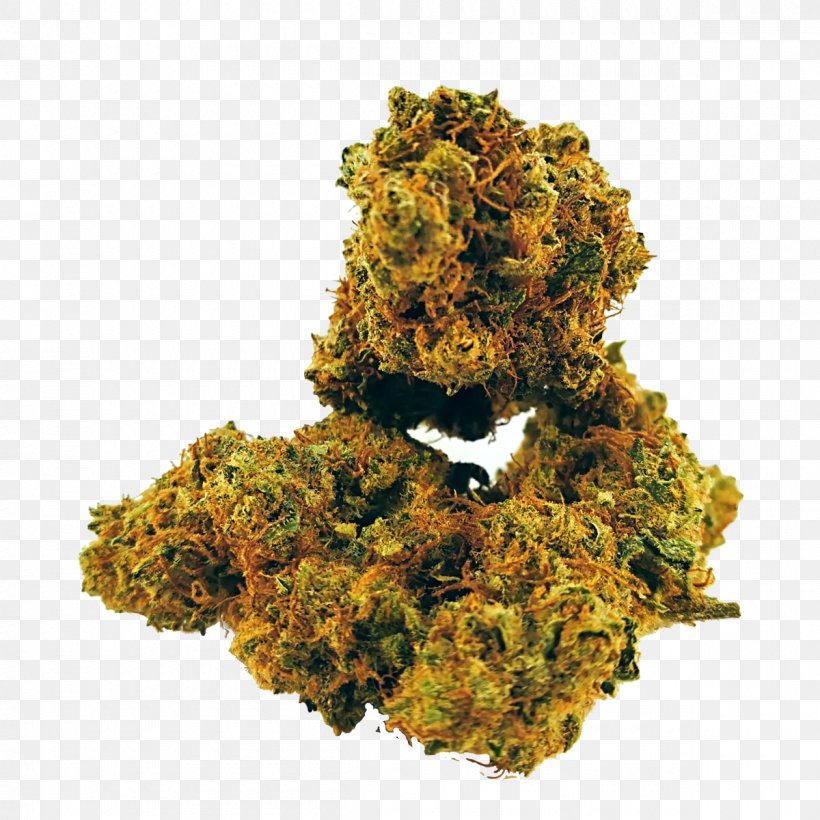 Cannabidiol Tetrahydrocannabinol Cannabis Marijuana Smoking, PNG, 1200x1200px, Cannabidiol, Amyotrophic Lateral Sclerosis, Cannabis, Flower, Hemp Download Free